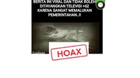 Cek Fakta video kecelakaan kereta cepat.