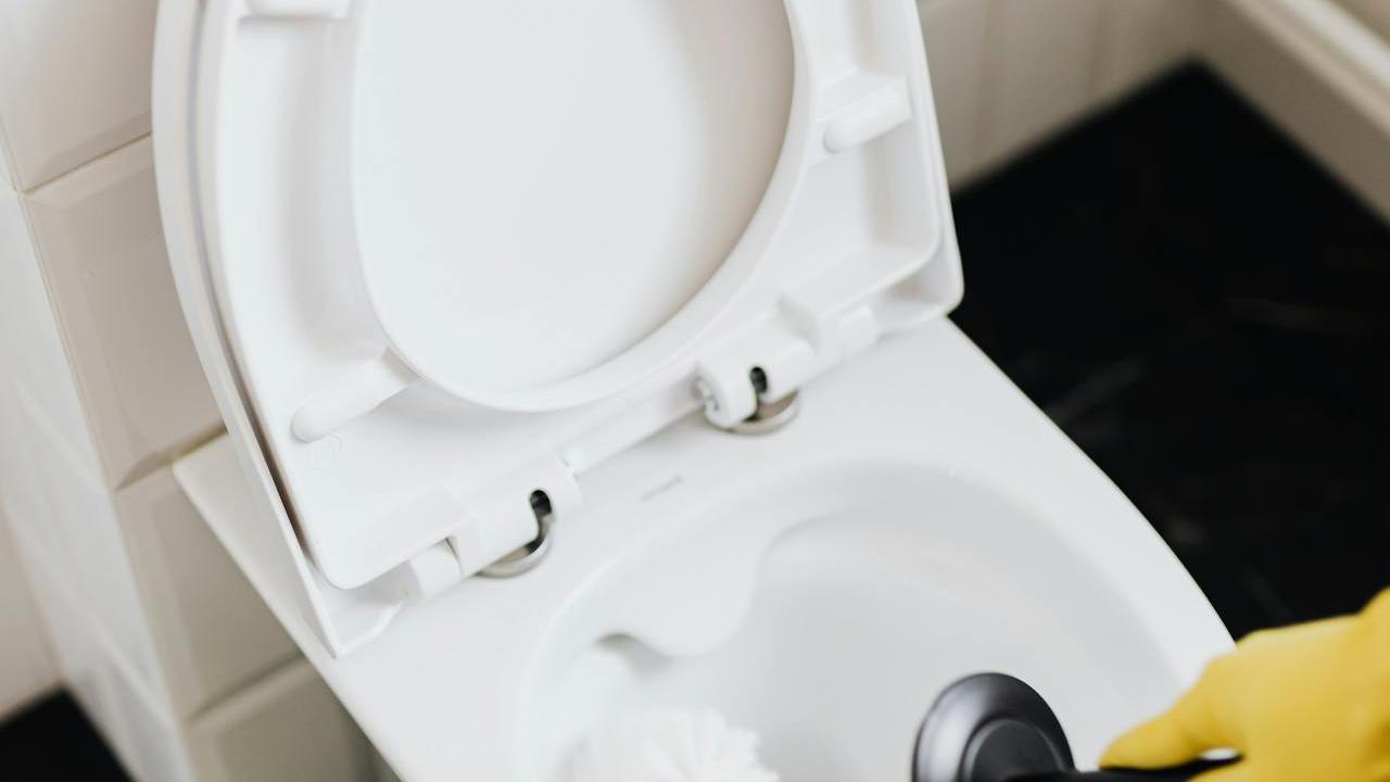 Ilustrasi Membersihkan Toilet