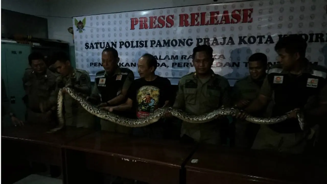 Lagi Asyik Mancing, Warga Kediri Malah Dapat Ular Sanca Empat Meter