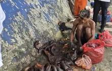 Satpol PP Sawah Besar Amankan Lima Penjual Daging Ikan Sapu-sapu untuk Olahan Siomay