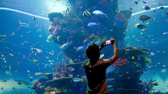 SEA Aquarium