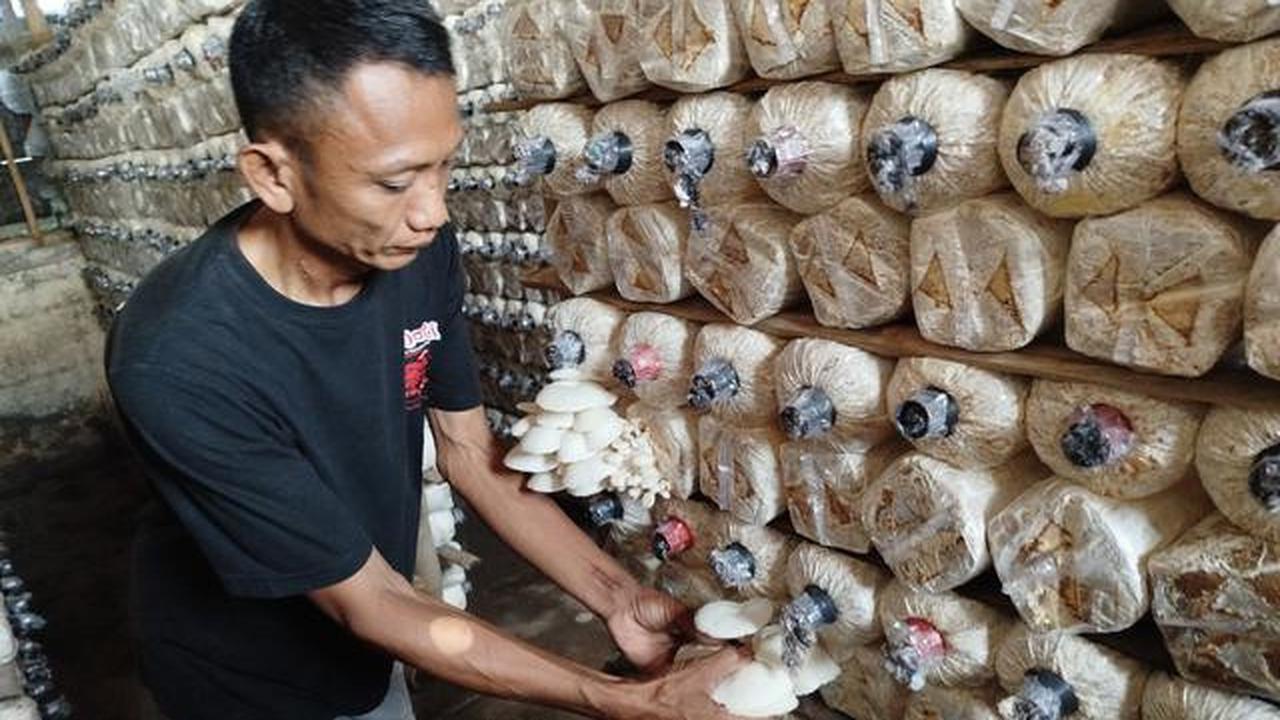 10 Ide Usaha untuk Warga Desa Pengangguran, Modal Rp0 - Rp500 Ribu