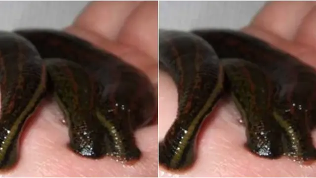 Courtesy ListVerse.com