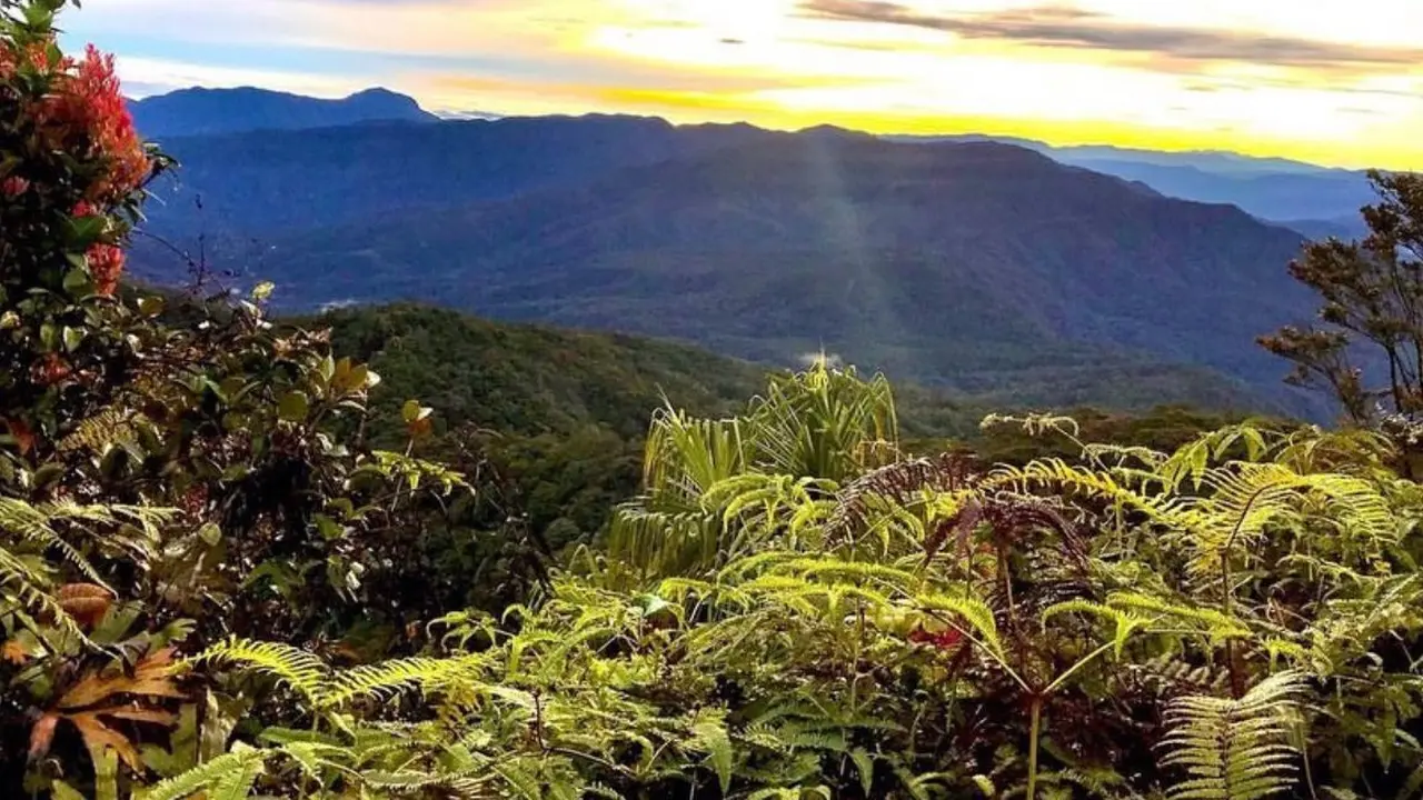 Gunung Seblat yang merupakan bagian dari Taman Nasional Gunung Kerinci Seblat