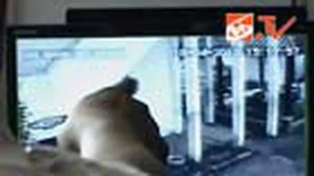 Kantor Pengadilan Disatroni Pencuri
