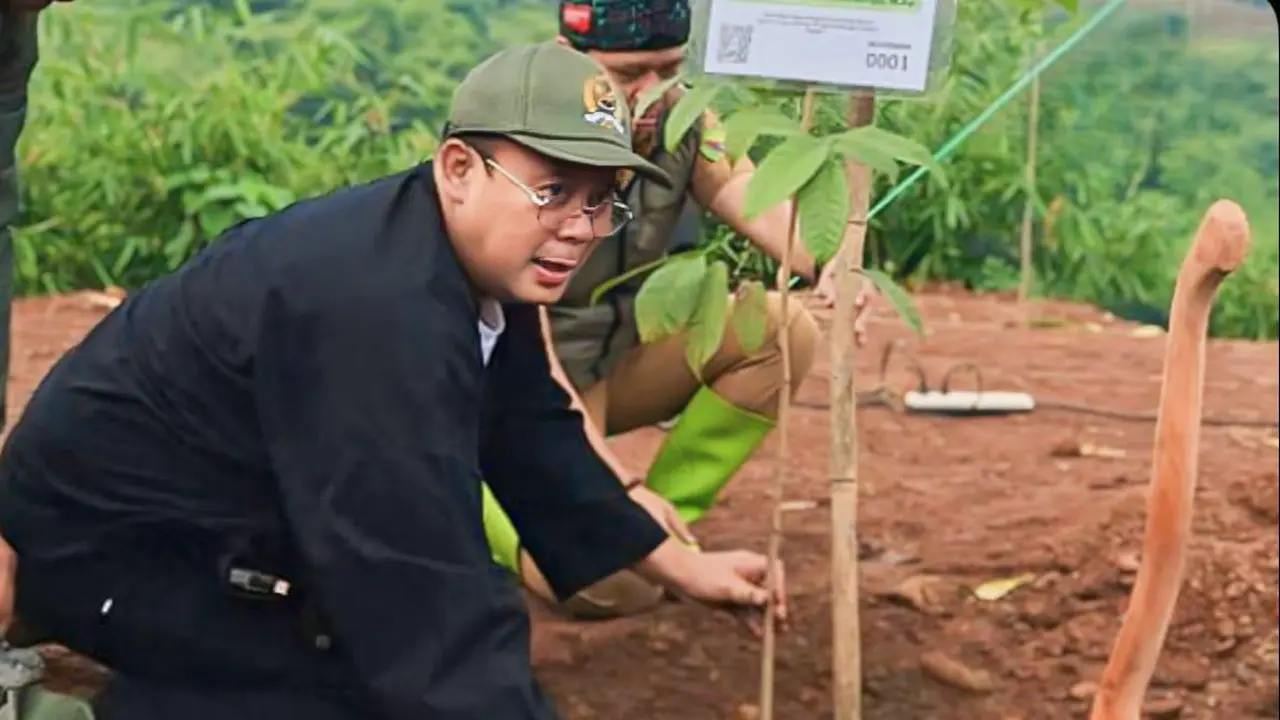 Wakil Ketua DPR RI, Cucun Ahmad Syamsurijal, menyerahkan 3.000 bibit pohon alpukat dan mahoni di Pondok Pesantren Darussa’adah, Gunung Manik, Kecamatan Pacet, Kabupaten Bandung, Selasa (23/12/2025) (Istimewa)