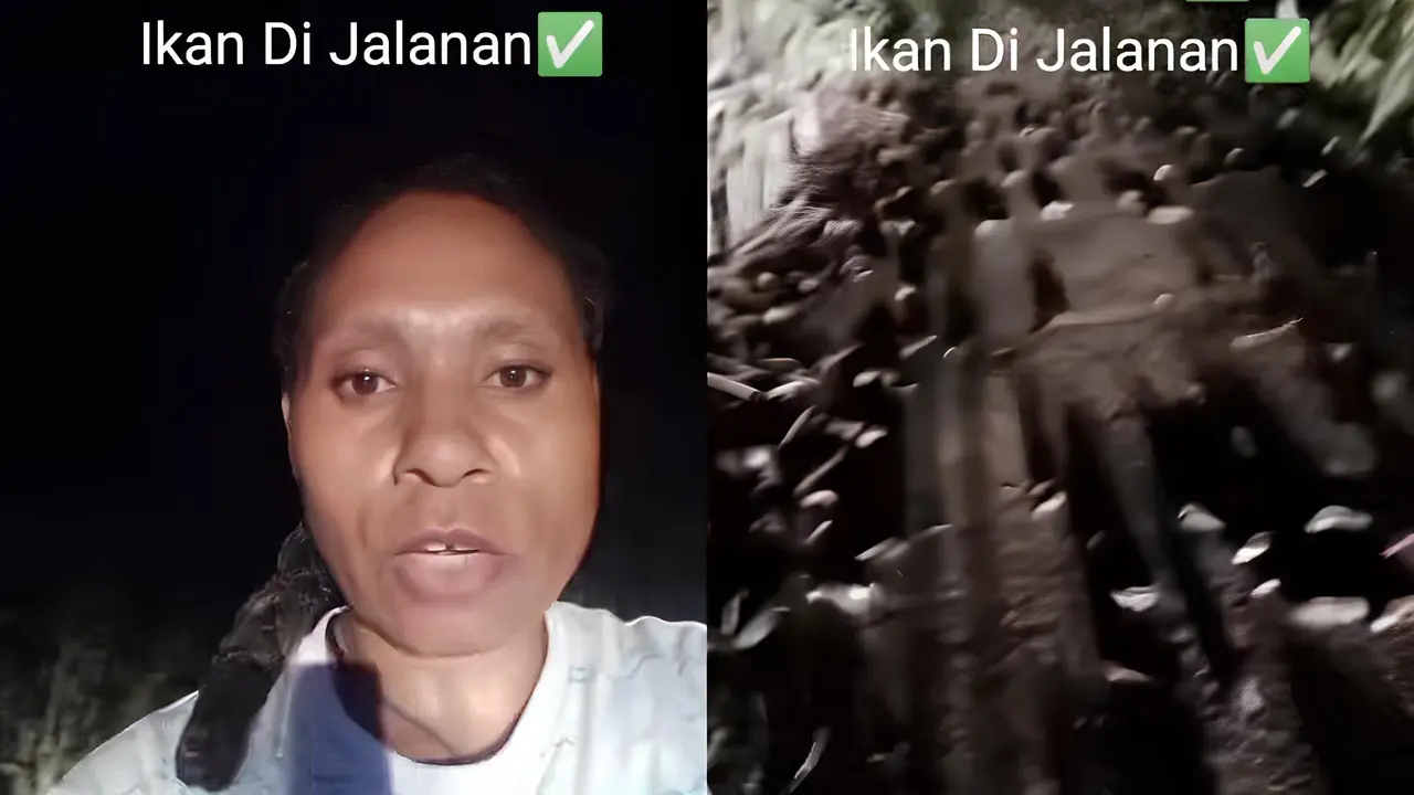 Ratusan Ikan Betik di Jalanan