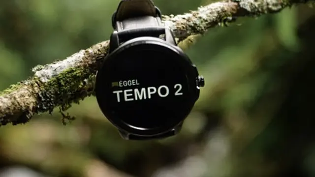 Eggel Tempo 2.