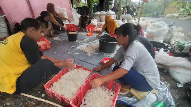 Nampak para warga dan petani kolang-kaling atau cangkaleng, Desa Tanjungsari, Kecamatan Salawu, Kabupaten Tasikmalaya, Jawa Barat sibuk mempersiapkan buah kolangkaling.