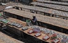 FOTO: Geliat Produksi Ikan Asin di Tengah Cuaca Tak Tentu