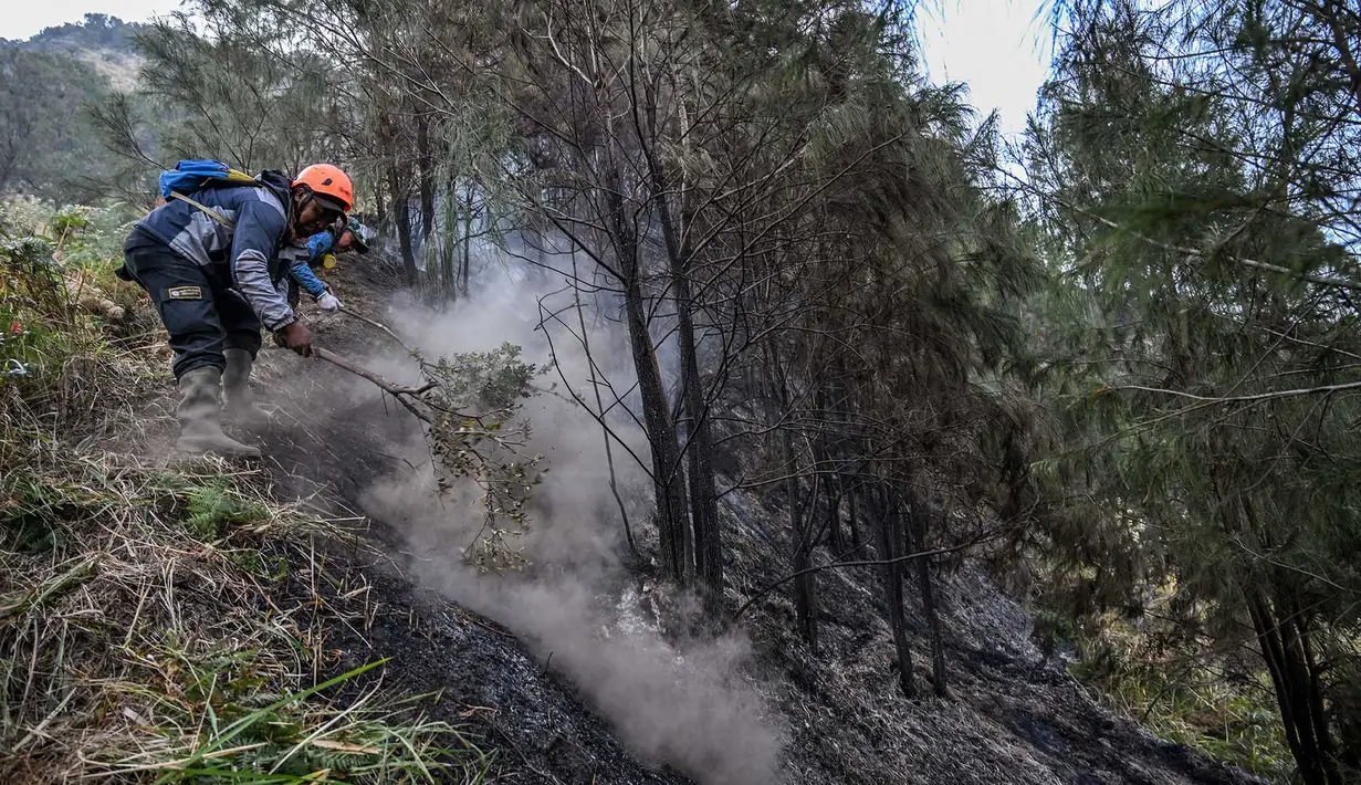 Relawan memadamkan api di Taman Nasional Bromo Tengger Semeru dekat Gunung Bromo di Pasuruan, Jawa Timur, Senin, 10 Agustus 2026. (AFP/ Juni Kriswanto)