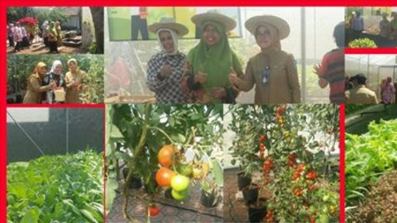 Tahun depan seluruh kecamatan di Bandung punya greenhouse