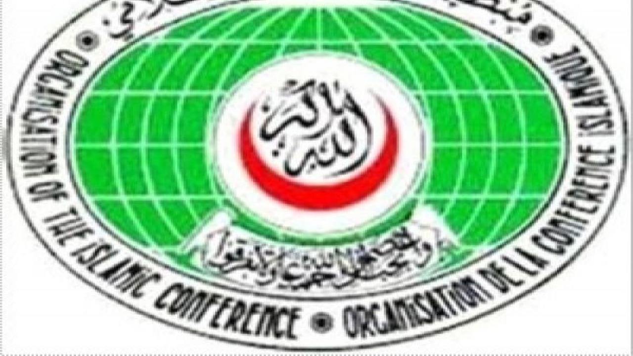 OKI Kecam Keras Serangan Israel di Suriah Selatan, Soroti Pelanggaran Kedaulatan