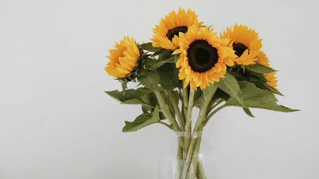 Bunga