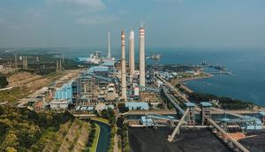 PT PLN (Persero) sukses menerapkan implementasi biomassa sebesar 6 persen untuk bahan bakar PLTU Paiton unit 1 dan 2. (Dok PLN)