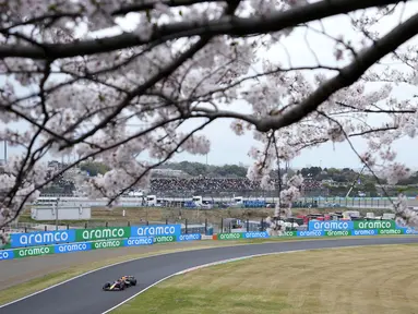 Pembalap Red Bull Racing, Max Verstappen terlihat melewati pohon sakura saat memacu mobilnya pada sesi latihan bebas pertama (FP1) F1 GP Jepang 2024 di Sirkuit Suzuka, Jepang, Jumat (05/04/2024). (AP Photo/Hiro Komae).