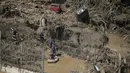 Petugas penyelamat mencari satwa yang mati di kebun binatang Tbilisi, Georgia, Senin (15/6/2015). Puluhan satwa mati dan hewan lainnya melarikan diri akibat banjir bandang melanda Kebun Binatang Tbilisi pada Minggu (14/6). (REUTERS/David Mdzinarishvili)