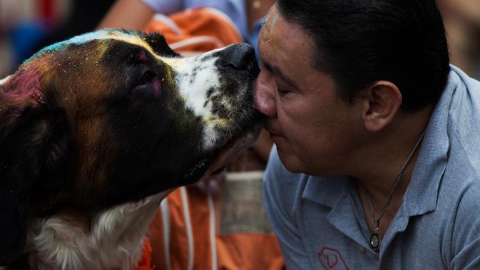 Seorang pria mencium anjingnya yang bertabur bubuk berwarna selama acara 