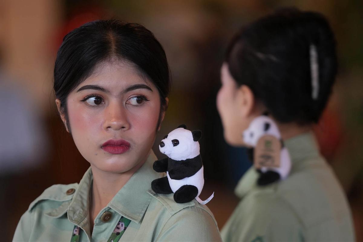 FOTO: Indonesia Catat Sejarah Kelahiran Anak Giant Panda