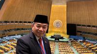 Ketua Fraksi PKS DPR RI Jazuli Juwaini bertemu dengan Perwakilan Khusus Sekjen PBB untuk SRSG. (Ist)
