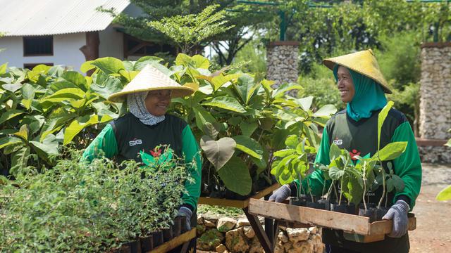 Tingkatkan Pemakaian Bahan Bakar Ramah Lingkungan, SIG Tanam Pohon Kaliandra Merah