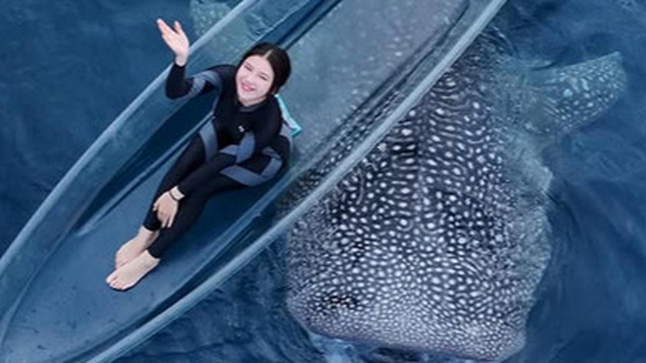 Potret Tiara Andini Berenang Bareng Hiu Paus di Gorontalo, Wajah Cantik & Bening Tanpa Makeup Bikin Netizen Salfok