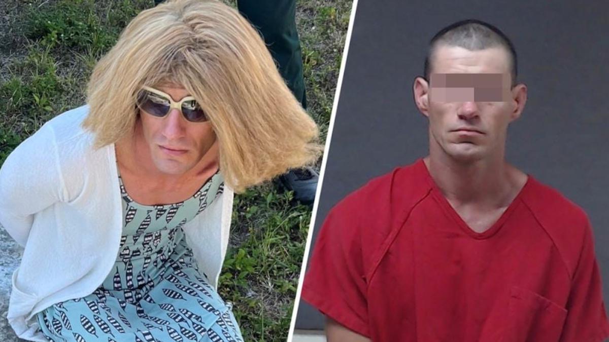 Pencuri di Florida AS Gagal Kabur dari Incaran Polisi, Padahal Sudah Menyamar Jadi Perempuan Blonde Berita Viral Hari Ini Senin 20 Mei 2024