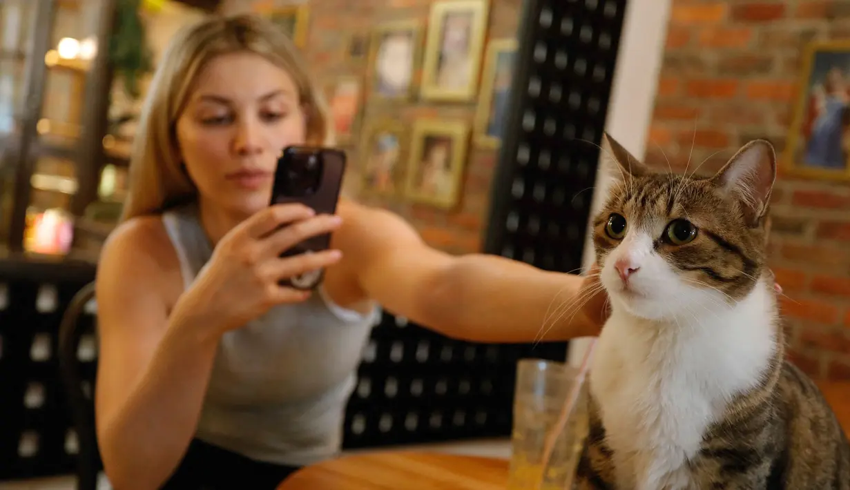 Kedai kopi ini berkontribusi meningkatkan kualitas kehidupan kucing-kucing yang ditelantarkan. (JAIME SALDARRIAGA/AFP)