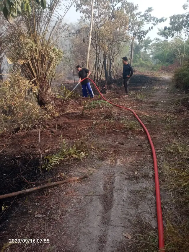Kesigapan Kementan Antisipasi Dampak El Nino