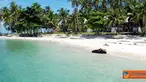 Citizen6, Kalimantan: Pulau Randayan memiliki pasir seluas 4,77 hektar, karang hidup 4,50 hektar, karang mati 3,69 hektar, dan lamun 0,63 hektar. (Pengirim: Devin Lim)