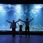 Aquarium Indonesia Pangandaran. (dok. website Aquarium Indonesia Pangandaran/https://aquariumindonesia.com/about-us/Rusmia Nely)