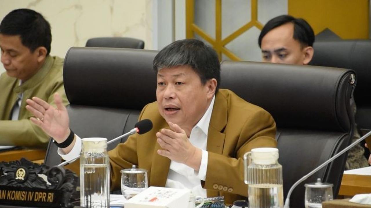 DPR Desak Perbanyak Titik Gerakan Pangan Murah di Daerah Terdampak Bencana