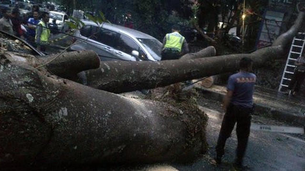 Pohon tumbang timpa mobil, Pemkot Bandung tak ganti rugi
