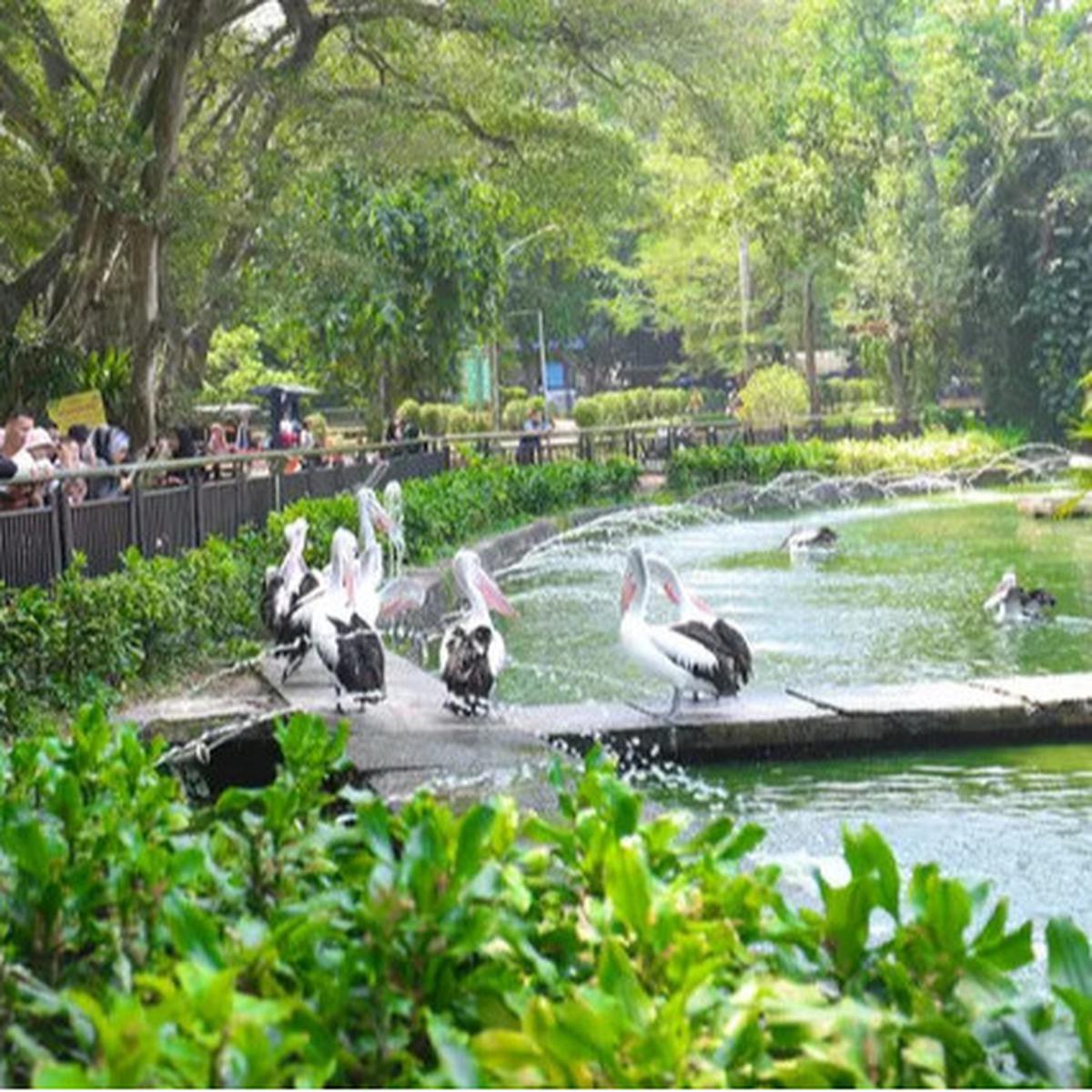 Harga Tiket Masuk Taman Margasatwa Ragunan, Buka Malam Hari Mulai Sabtu 11 Oktober 2025