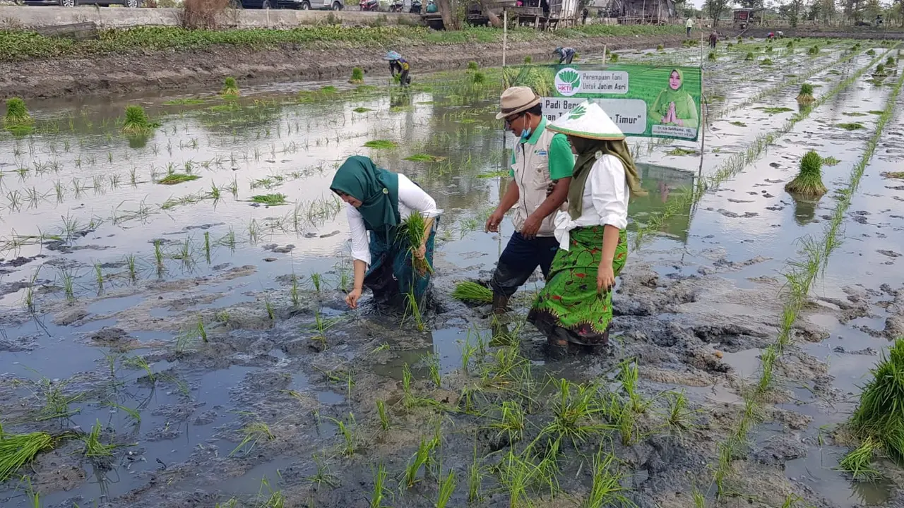 Pendampingan petani di Lamonga oleh HKTI. (Ist)