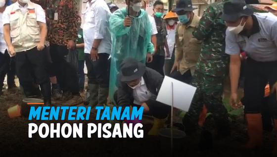 VIDEO: Aksi Menkop UKM dan Menteri ATR/BPN Tanam Pohon Pisang di Sukabumi