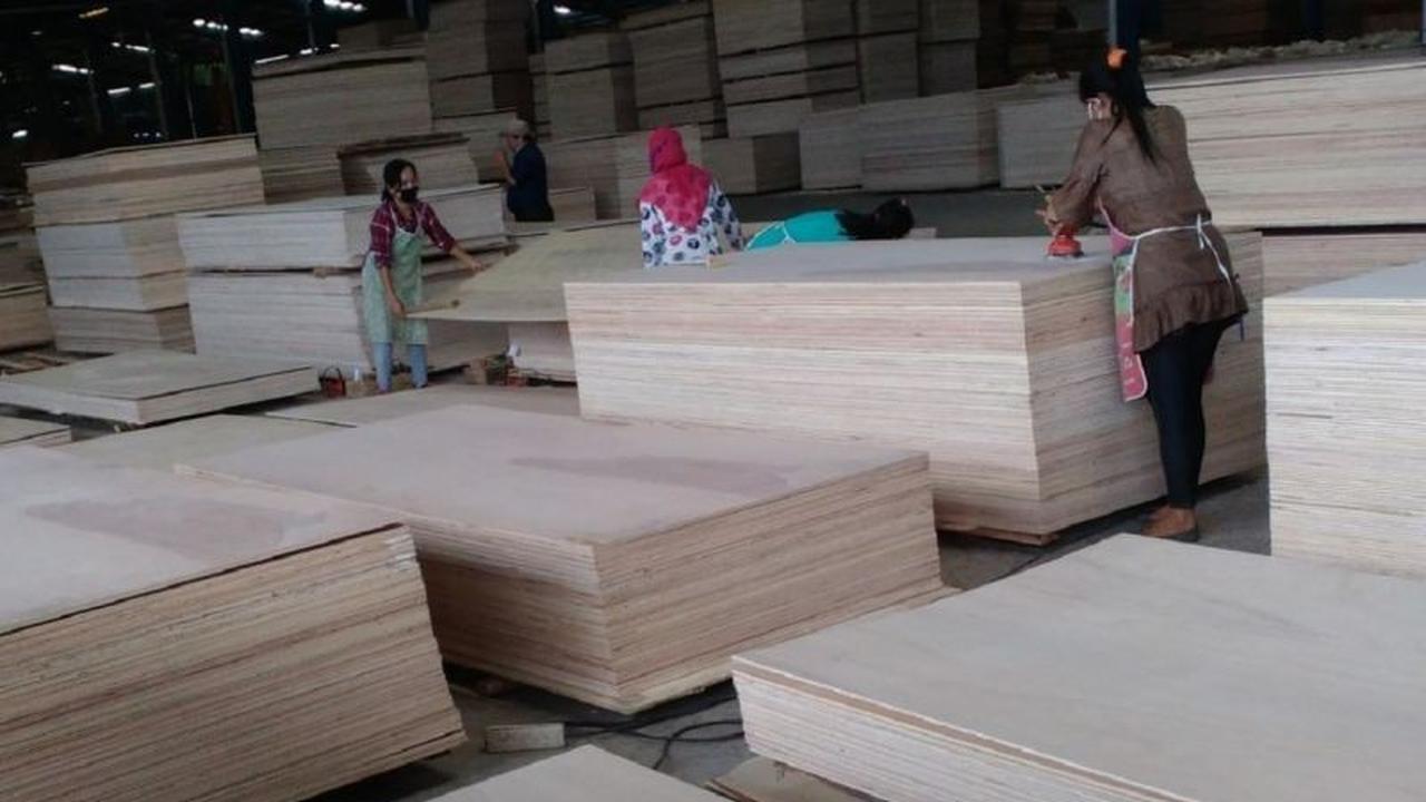 APHI Ungkap Dampak Pencabutan Izin PBPH pada Ekspor Hasil Hutan Nasional