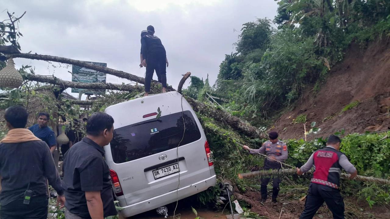 Wisata Ceking di Bali Longsor, Mobil dan Motor Rusak Tertimpa Pohon