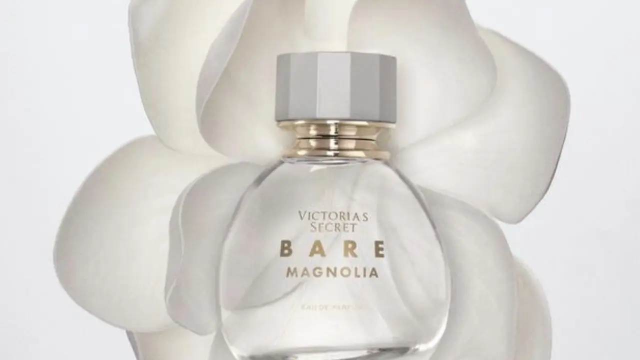 Bare Magnolia