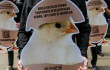 FOTO: Protes Peternakan Ayam Kandang Baterai, Aktivis AFFA: "Jangan Biarkan Ayam Menderita Selama 12 Tahun'"