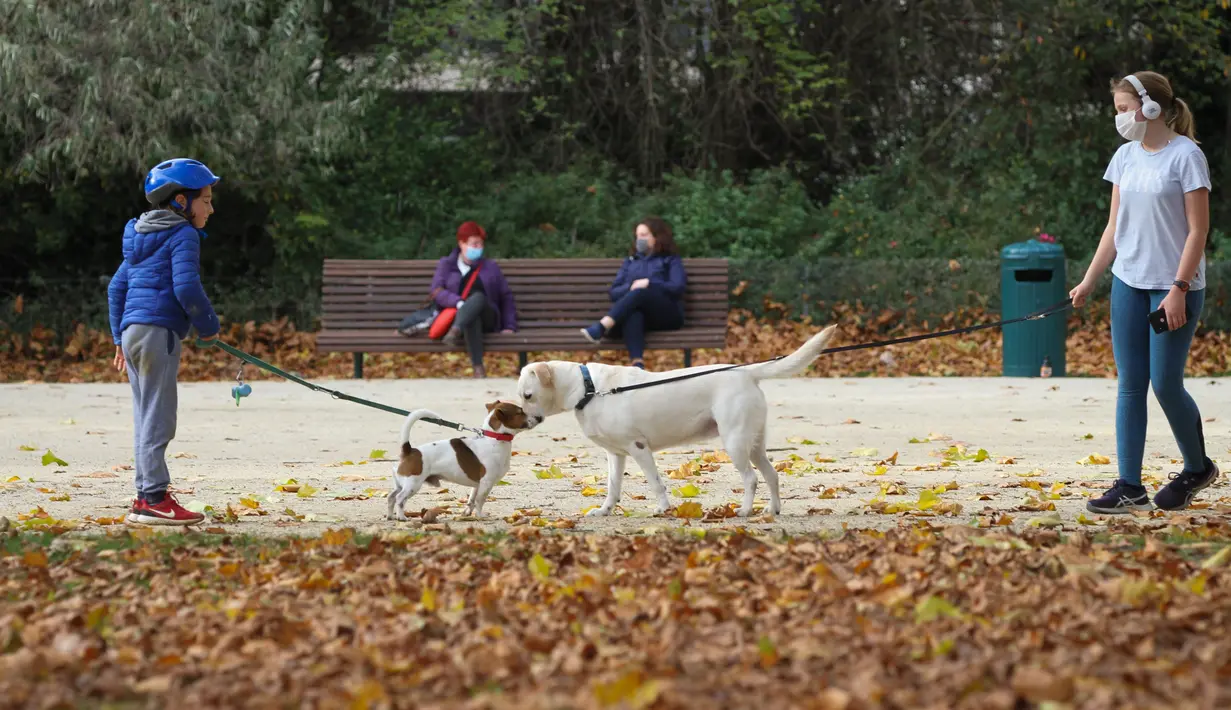Sejumlah orang mengajak jalan-jalan anjing peliharaan mereka di Cinquantenaire Park di Brussel, Belgia, pada 8 November 2020. Kasus COVID-19 global melampaui angka 50 juta pada Minggu (8/11), menurut lembaga Center for Systems Science and Engineering (CSSE) di Universitas Johns Hopkins. (Xinhua/Zhen