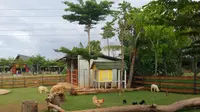 Taman Hijau Rumah Ratusan Satwa di Bintaro Hadirkan Harmoni Konservasi dan Edukasi