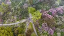Foto udara yang diambil pada 13 Februari 2023 ini memperlihatkan orang-orang sedang mengamati bunga plum di Nanjing, di provinsi Jiangsu timur China. Plum blossom merupakan salah satu bunga yang menjadi obyek wisata pada musim semi. (Photo by AFP)