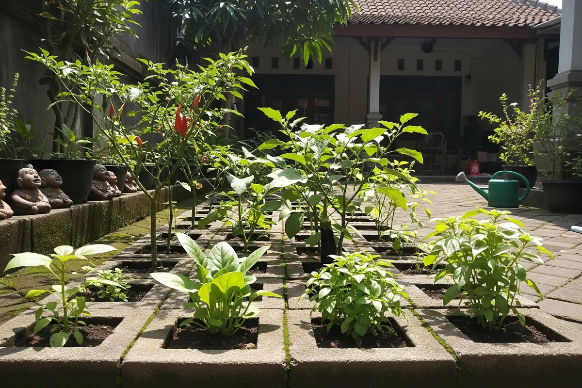 6 Cara Menanam Sayuran di Paving Block, Ide Kreatif Maksimalkan Halaman