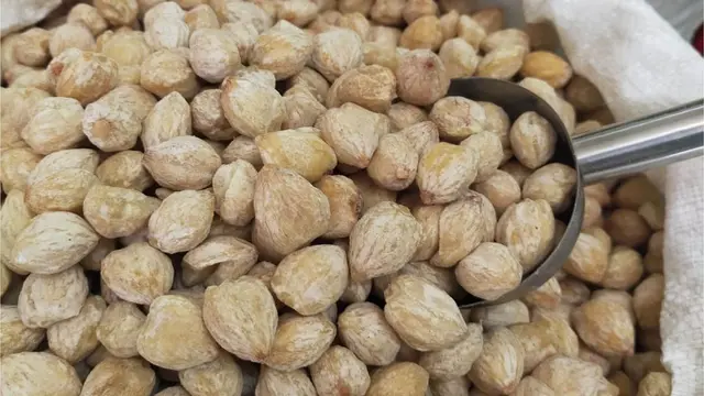 Beda Kemiri dan Hazelnut yang Bentuknya Mirip, Salah Satunya Bisa Picu Alergi