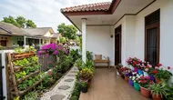 8 Inspirasi Taman Bunga Mini di Teras Rumah Sederhana yang Bikin Tetangga Ikut Kagum