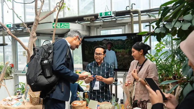 Kisah Para Petani Patchouli Sulawesi Diboyong ke Inggris
