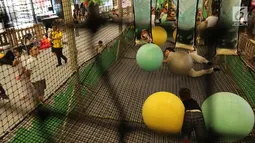 Anak-anak sedang bermain bola di wahana bermain crazy net Mookiland Play Park di Lippo Mall Kemang, Jakarta, Minggu (18/06). Konsep bermain yang menawarkan kecerian dan keseruan mampu menampung kapasitas 150 anak. (Liputan6.com/Fery Pradolo)