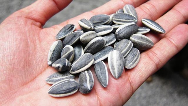 20150824-6 Makanan Untuk Bantu Detoksifikasi Tubuh Secara Alami-Kuaci