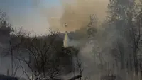 Helikopter Jatuh di Hutan Rio de Janeiro, 4 Orang Tewas
